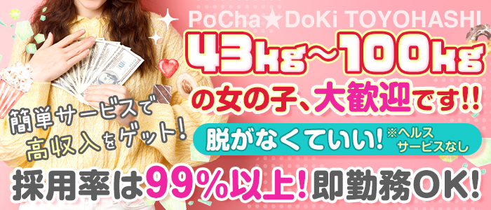 PoCha★DoKi～とよはし～