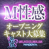 サキュバスNAGOYA 輝夜の逆夜這い