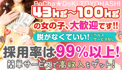 PoCha★DoKi～とよはし～